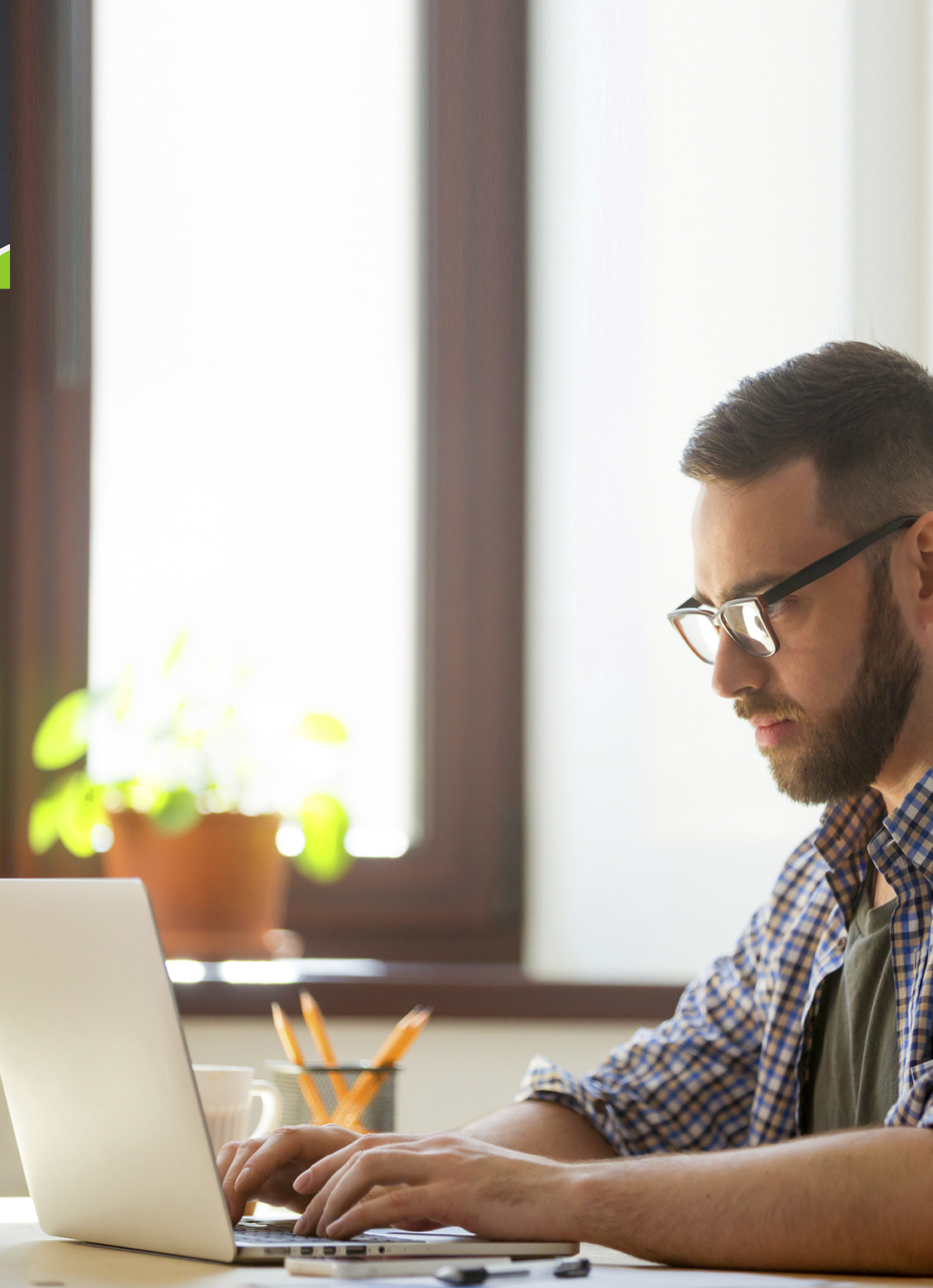 El cómic, la novela gráfica y la obra multimedia